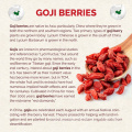 Organic Goji Berry Extract powder